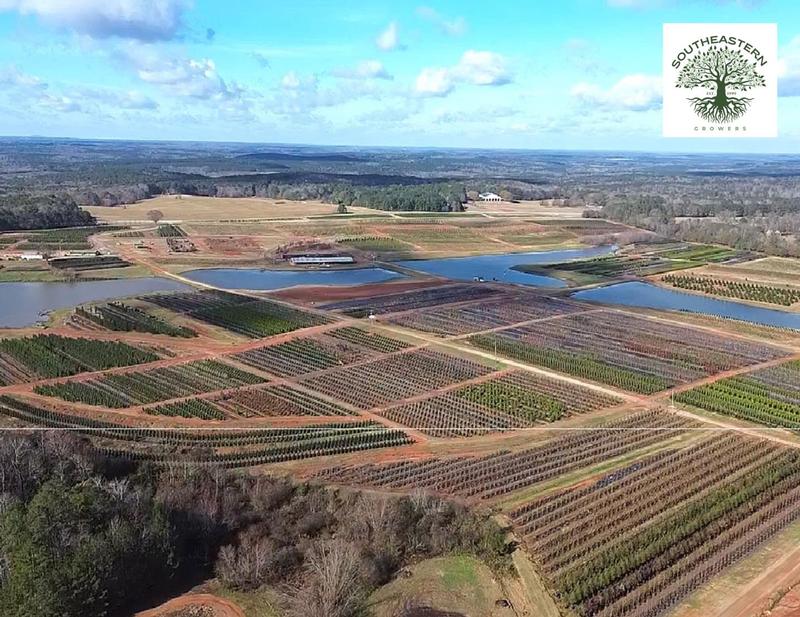 Southeastern Growers, Inc.